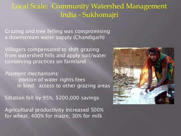 Local Scale: Community Watershed Management India - Sukhomajri Grazing and tree