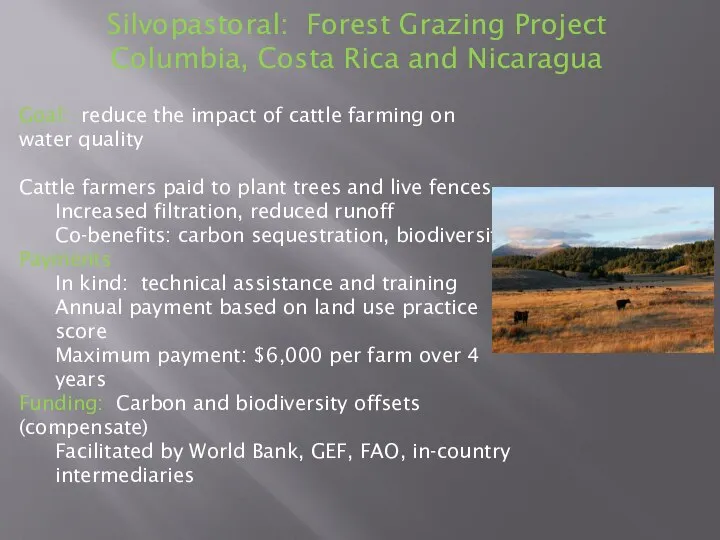 Silvopastoral: Forest Grazing Project Columbia, Costa Rica and Nicaragua Goal: reduce