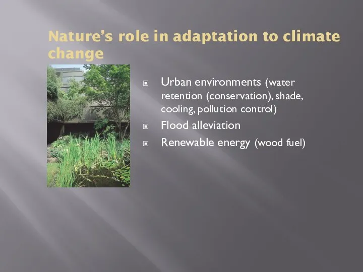 Nature’s role in adaptation to climate change Urban environments (water retention
