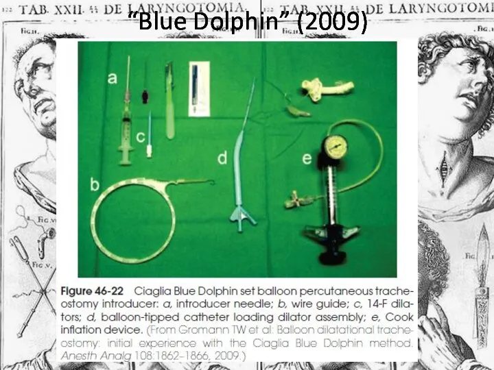 “Blue Dolphin” (2009)