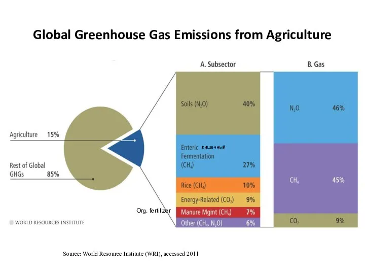 Global Greenhouse Gas Emissions from Agriculture Source: World Resource Institute (WRI), accessed 2011 Org. fertilizer кишечный