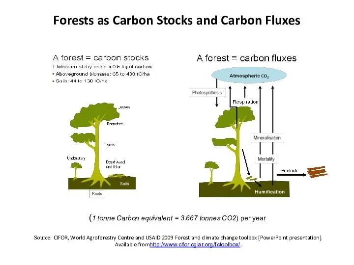 Forests as Carbon Stocks and Carbon Fluxes Source: CIFOR, World Agroforestry