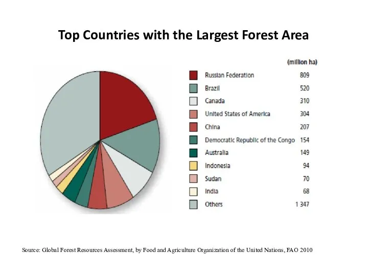 Top Countries with the Largest Forest Area Source: Global Forest Resources