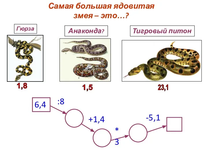 Самая большая ядовитая змея – это…? 6,4 :8 +1,4 *3 -5,1