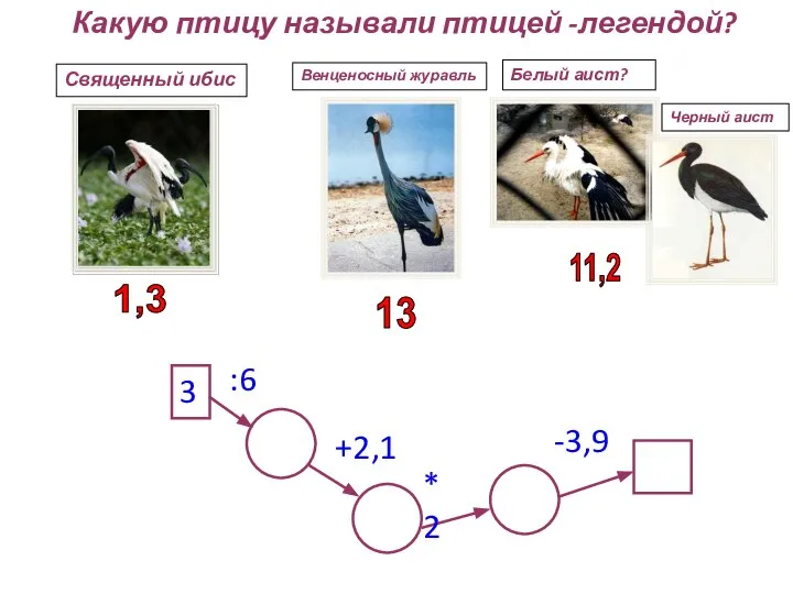 Какую птицу называли птицей -легендой? 3 :6 +2,1 *2 -3,9 Священный