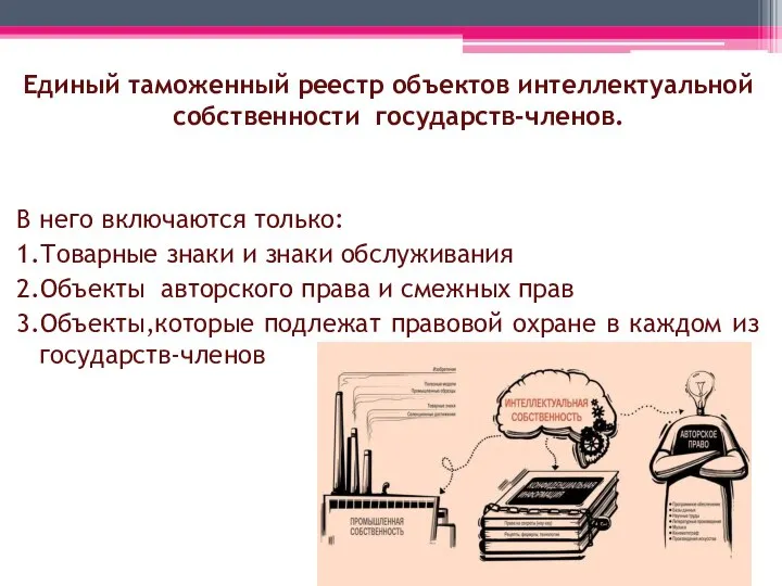 Единый таможенный реестр объектов интеллектуальной собственности государств-членов. В него включаются только: