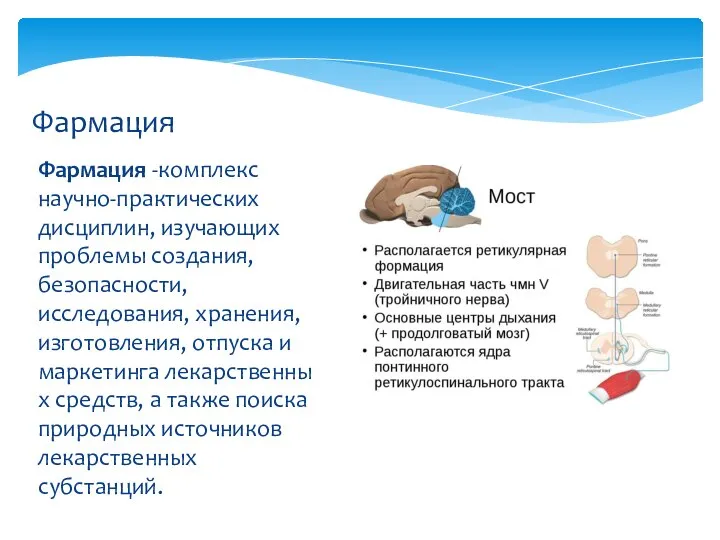 Фармация -комплекс научно-практических дисциплин, изучающих проблемы создания, безопасности, исследования, хранения, изготовления,