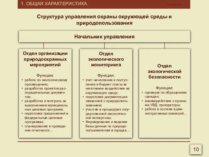 1. ОБЩАЯ ХАРАКТЕРИСТИКА. Калмыков Г.А. 10 Структура управления охраны окружющей среды