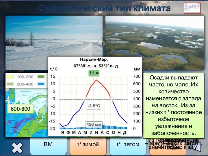 Субарктический тип климата ВМ t° зимой t° летом Осадки Субарктический пояс