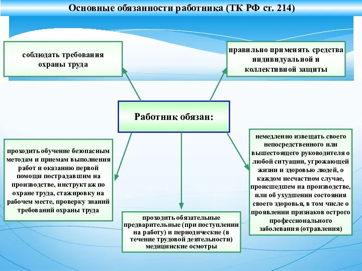 Работник обязан: Основные обязанности работника (ТК РФ ст. 214) соблюдать требования