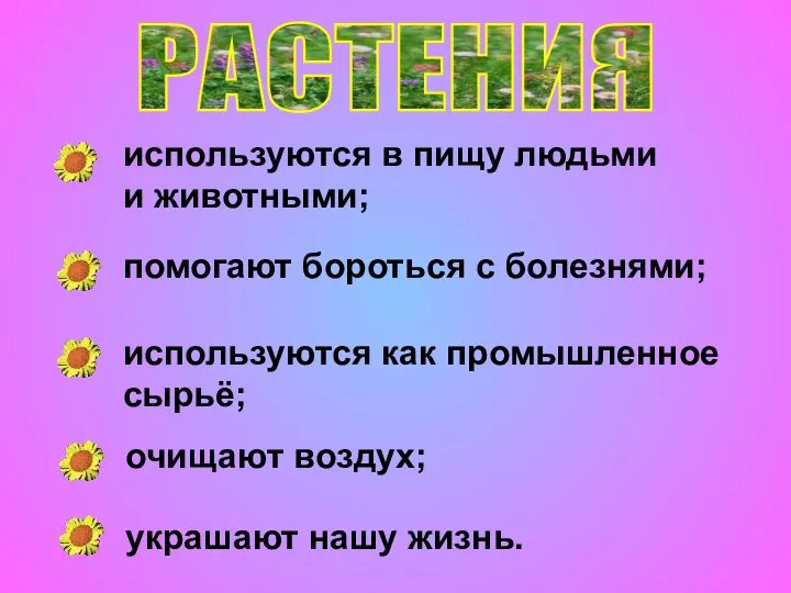 РАСТЕНИЯ