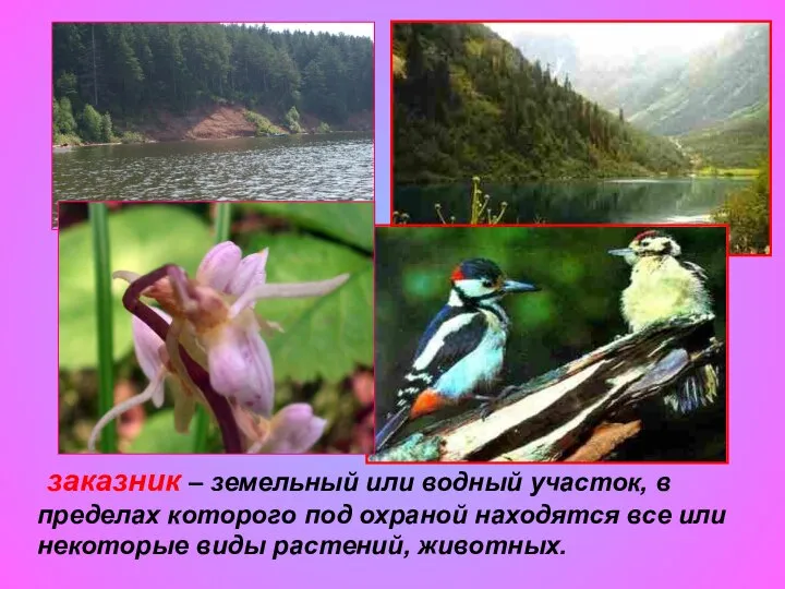 заказник – земельный или водный участок, в пределах которого под охраной