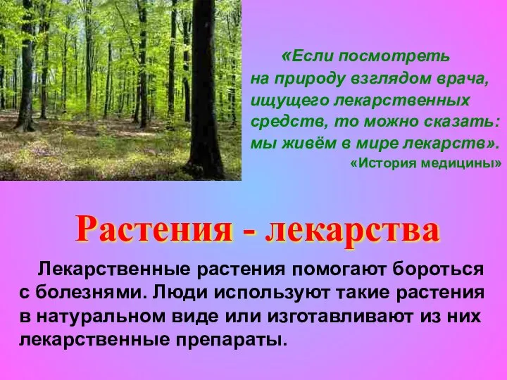 «Если посмотреть на природу взглядом врача, ищущего лекарственных средств, то можно