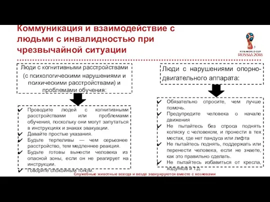 Служебные животные всегда и везде эвакуируются вместе с хозяевами Люди с