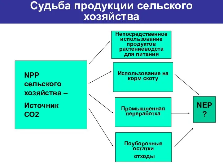 NPP сельского хозяйства – Источник СО2 Непосредственное использование продуктов растениеводста для