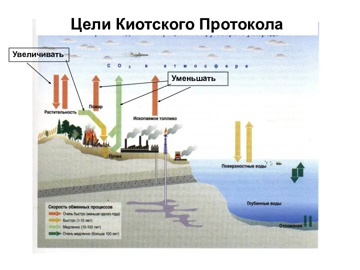 Уменьшать Увеличивать Цели Киотского Протокола