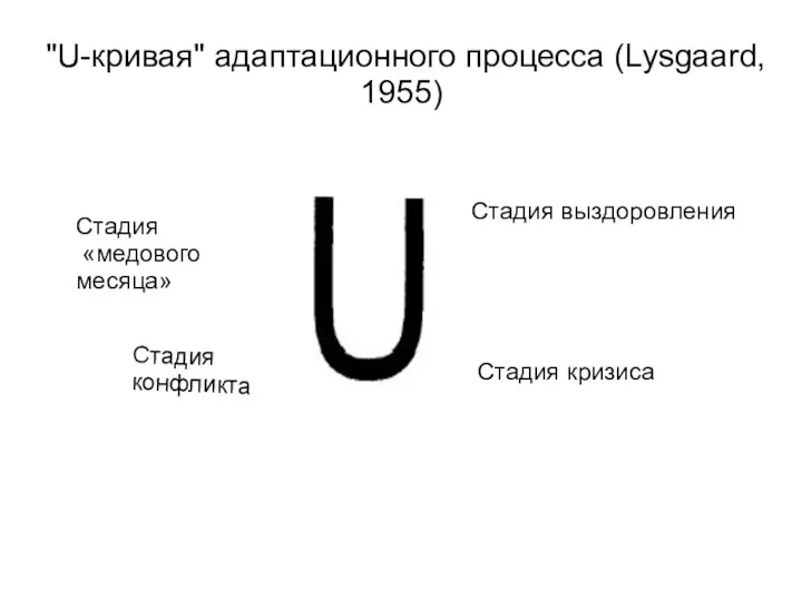 "U-кривая" адаптационного процесса (Lysgaard, 1955) Стадия «медового месяца» Стадия конфликта Стадия кризиса Стадия выздоровления