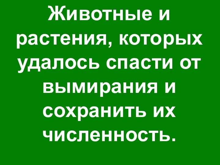 Животные и растения, которых удалось спасти от вымирания и сохранить их численность.