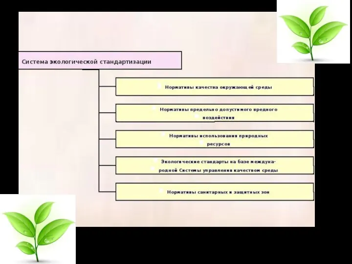 Рисунок 2-Экологическая стандартизация в РФ