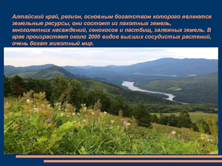 Алтайский край, регион, основным богатством которого являются земельные ресурсы, они состоят