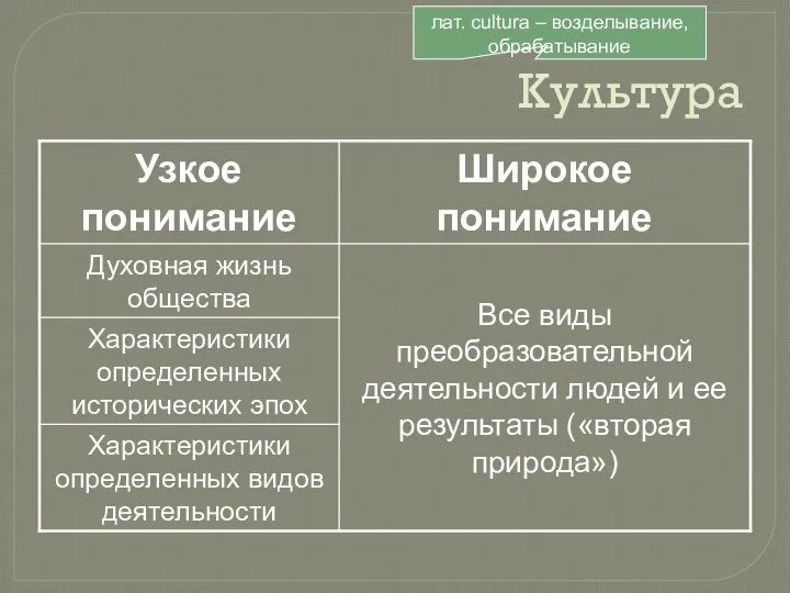 Культура лат. cultura – возделывание, обрабатывание