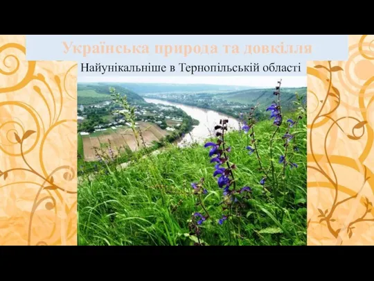 Українська природа та довкілля Найунікальніше в Тернопільській області