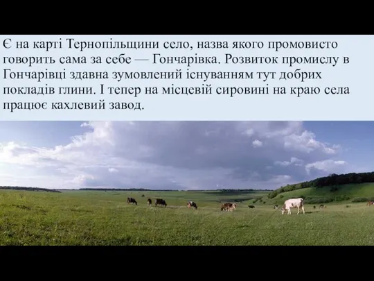 Є на карті Тернопільщини село, назва якого промовисто говорить сама за