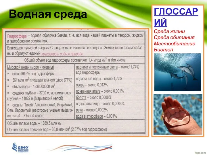 Водная среда ГЛОССАРИЙ Среда жизни Среда обитания Местообитание Биотоп