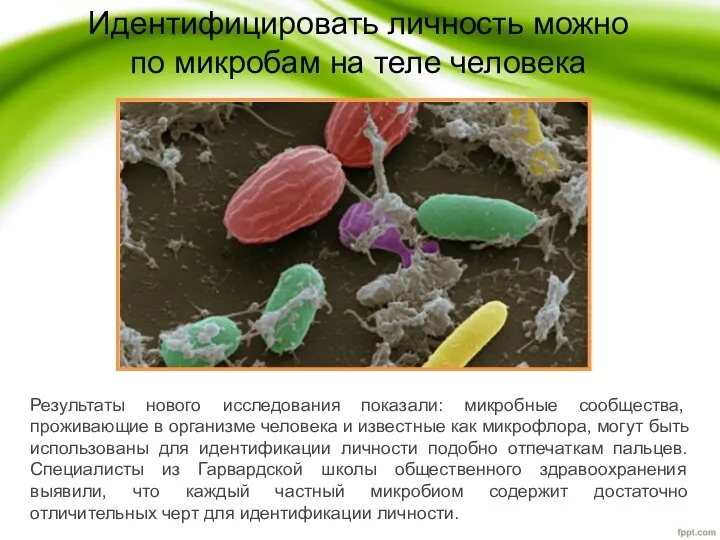 Идентифицировать личность можно по микробам на теле человека Результаты нового исследования