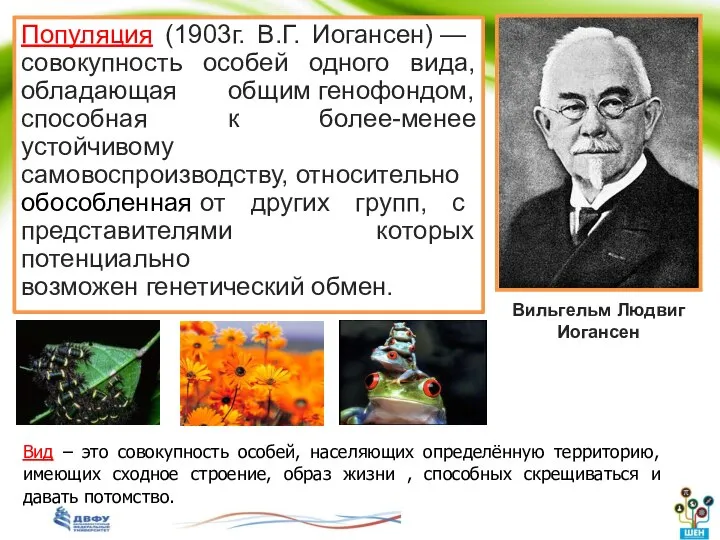 Популяция (1903г. В.Г. Иогансен) — совокупность особей одного вида, обладающая общим