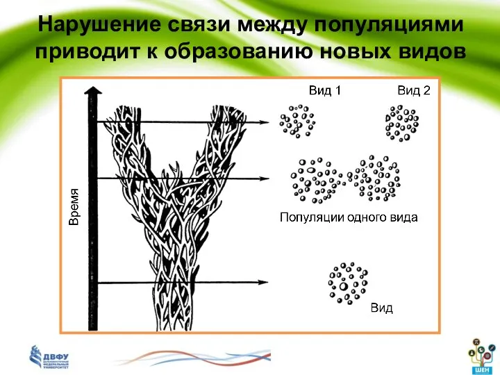 Нарушение связи между популяциями приводит к образованию новых видов