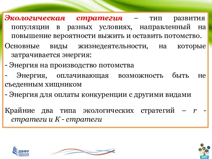 Экологическая стратегия – тип развития популяции в разных условиях, направленный на