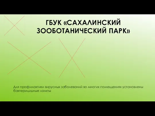 ГБУК «САХАЛИНСКИЙ ЗООБОТАНИЧЕСКИЙ ПАРК» Для профилактики вирусных заболеваний во многих помещениях установлены бактерицидные лампы