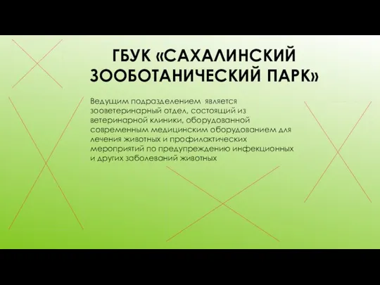 ГБУК «САХАЛИНСКИЙ ЗООБОТАНИЧЕСКИЙ ПАРК» Ведущим подразделением является зооветеринарный отдел, состоящий из