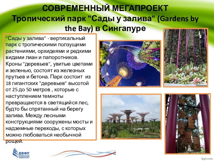 СОВРЕМЕННЫЙ МЕГАПРОЕКТ Тропический парк "Сады у залива" (Gardens by the Bay)