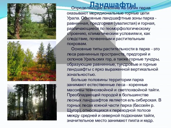 Определяющее влияние на облик парка оказывают меридиональные горные цепи Урала. Основные