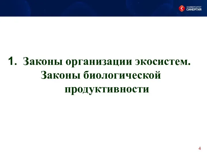 Законы организации экосистем. Законы биологической продуктивности