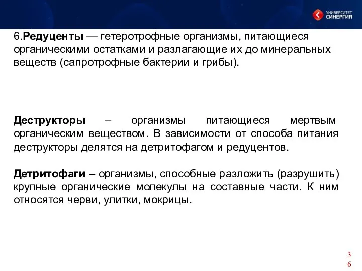 6.Редуценты — гетеротрофные организмы, питающиеся органическими остатками и разлагающие их до