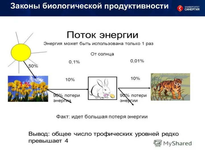 Законы биологической продуктивности