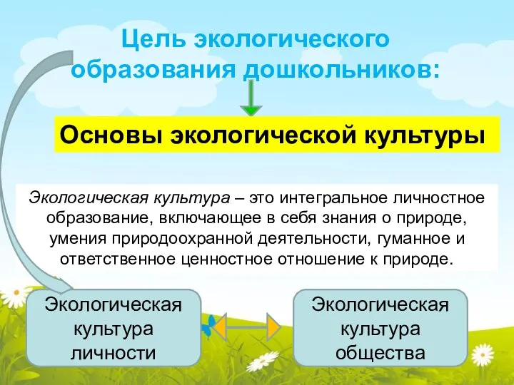 Цель экологического образования дошкольников: Основы экологической культуры Экологическая культура – это