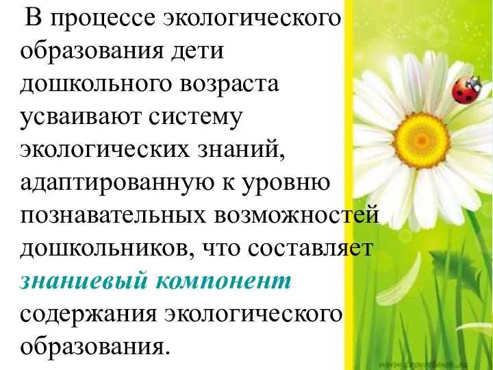 В процессе экологического образования дети дошкольного возраста усваивают систему экологических знаний,