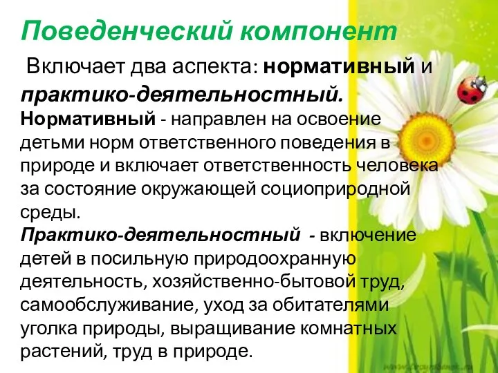 Поведенческий компонент Включает два аспекта: нормативный и практико-деятельностный. Нормативный - направлен