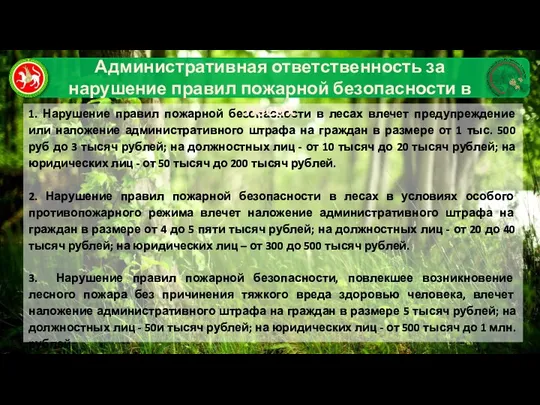 1. Нарушение правил пожарной безопасности в лесах влечет предупреждение или наложение