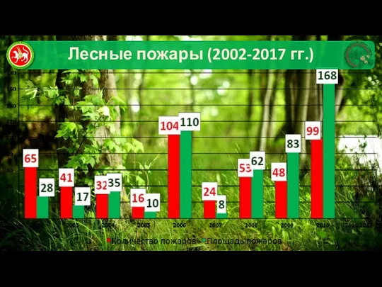 Лесные пожары (2002-2017 гг.)