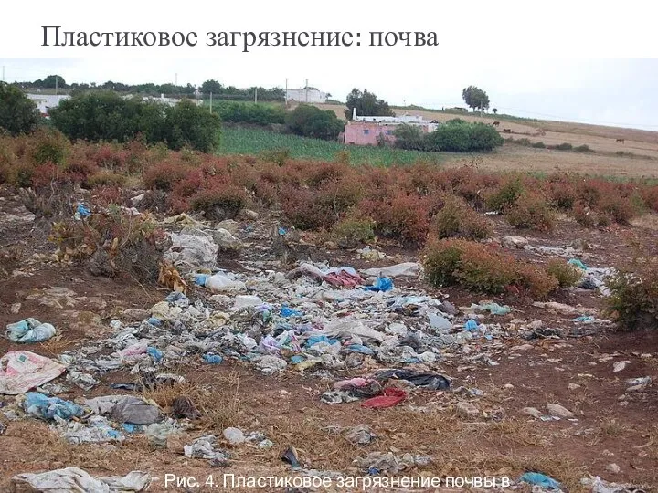 Пластиковое загрязнение: почва Рис. 4. Пластиковое загрязнение почвы в Марокко