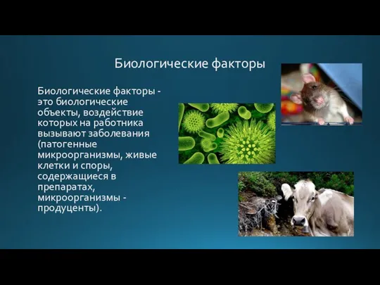 Биологические факторы Биологические факторы - это биологические объекты, воздействие которых на