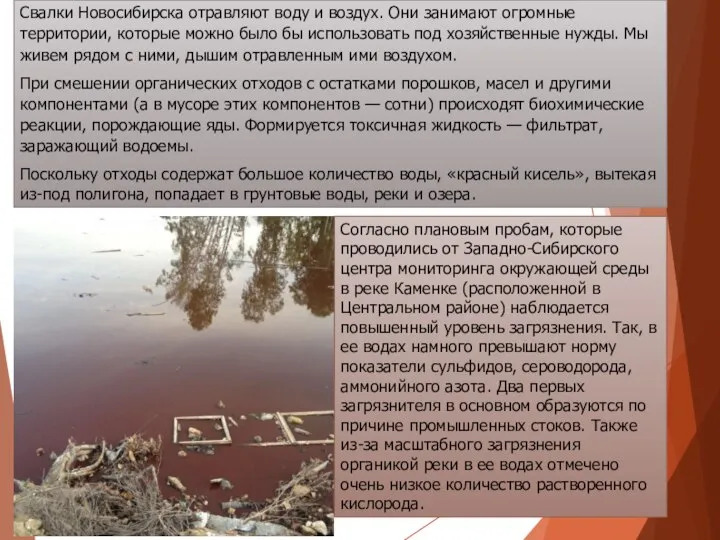 Свалки Новосибирска отравляют воду и воздух. Они занимают огромные территории, которые