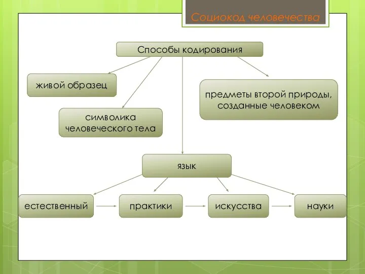 Способы кодирования живой образец символика человеческого тела язык искусства науки предметы