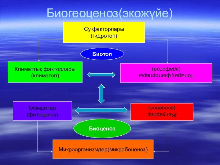 Биогеоценоз(экожүйе) Су факторлары (гидротоп) Климаттық факторлары (климатоп) Топырақ факторлары (эдафотоп) Биотоп