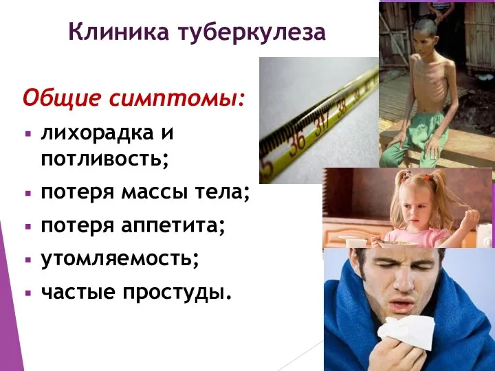 Клиника туберкулеза Общие симптомы: лихорадка и потливость; потеря массы тела; потеря аппетита; утомляемость; частые простуды.